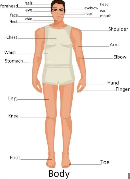 Human Leather Outfit