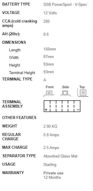 SSB Battery 12V VTZ10-S