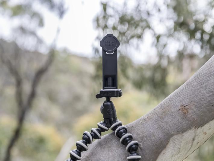 Quad Lock Tripod Adaptor