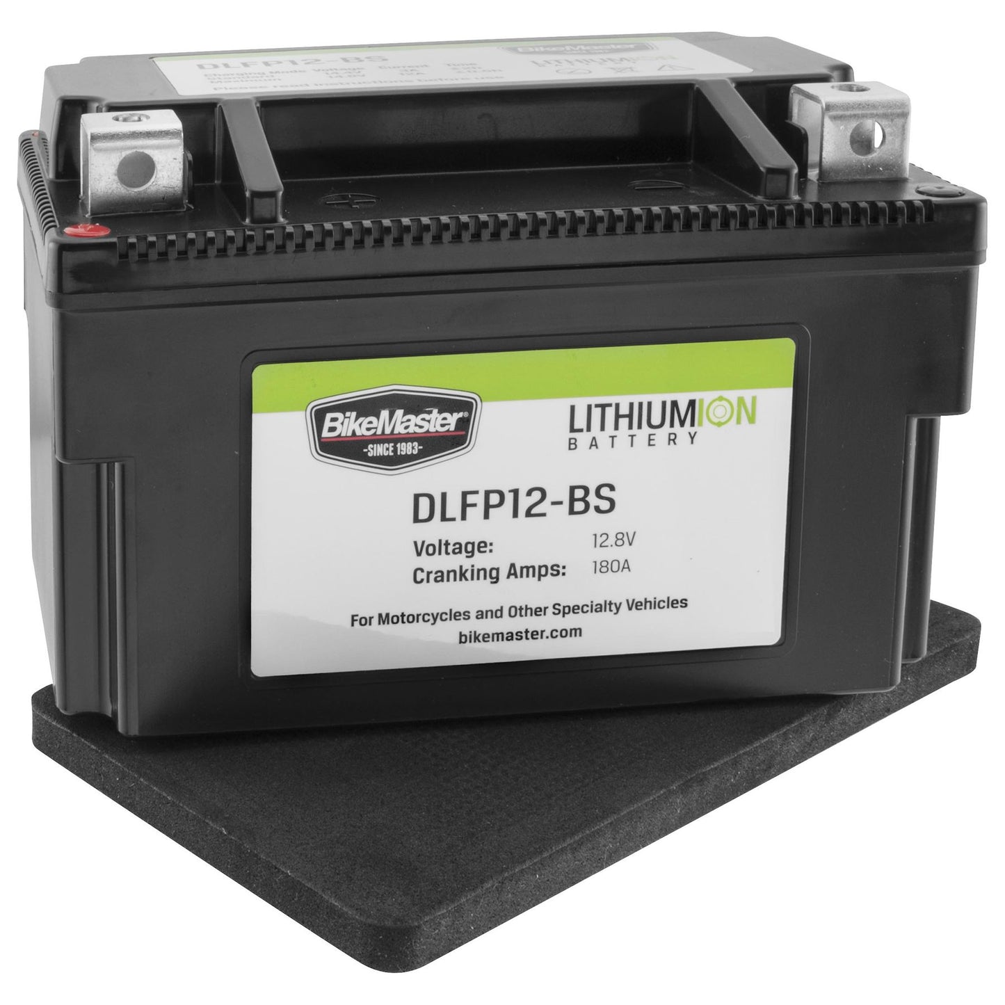 Dynalife Lithium Battery Dlfp12-Bs