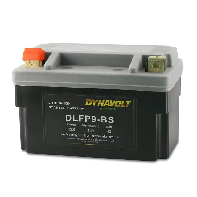 Dynalife Lithium Battery Dlfp20L-Bs